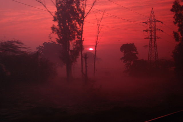 Perdidos en el bosque: Capítulo dos.