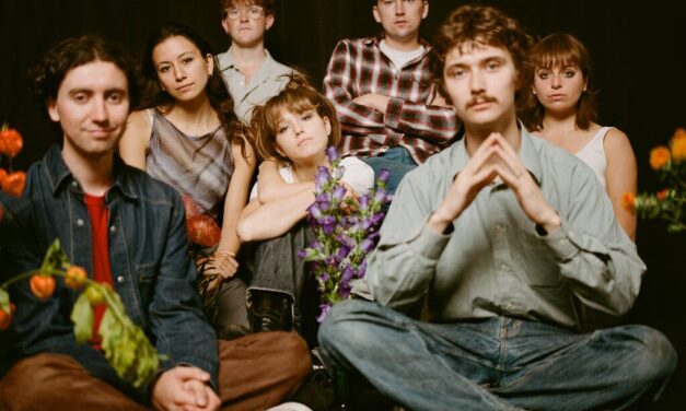 Black Country, New Road/ Ants From Up There.