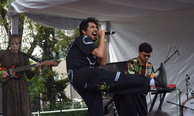 Entrevista con Alejandro Guerrero de Belafonte Sensacional en el marco del festival Marvin