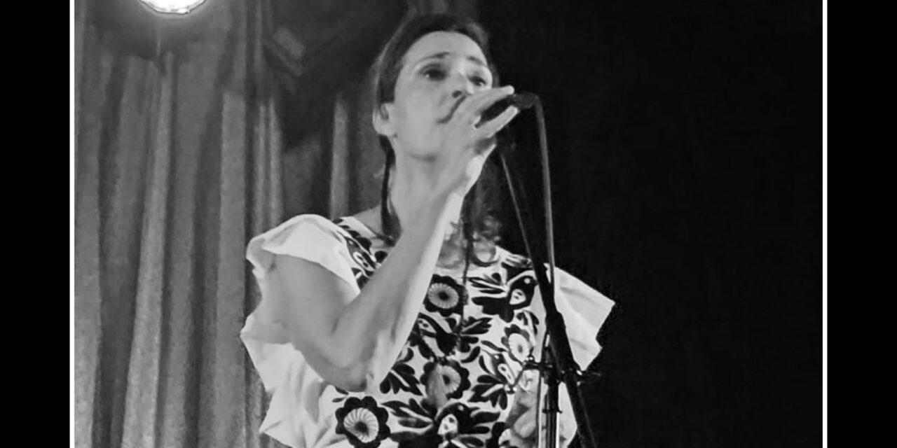 Les compartimos un recorrido por la incomparable experiencia que fue Stereolab en el foro Indie Rocks